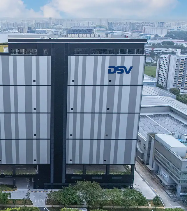 dsv-pearl-feature
